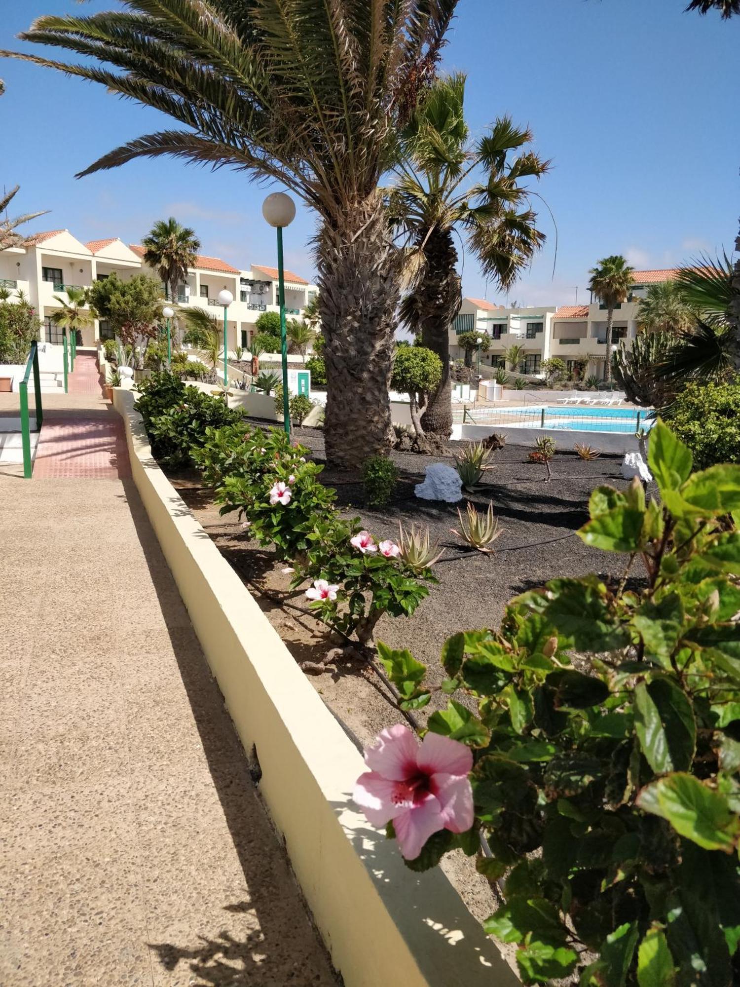 Casa Anita Leilighet Costa De Antigua Eksteriør bilde